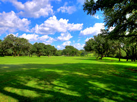 002_Golf Course View