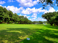 005_Golf Course 3