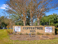 1015 E Yager Ln, Austin, TX 78753--(Copper Tree)