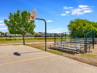 Backet Ball Courts