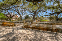 10-Camp Lucy Oak Sanctuary
