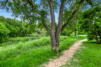 13-Greg Hill Pocket Park Trail